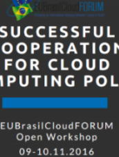 Successful cooperation for cloud computing policy 